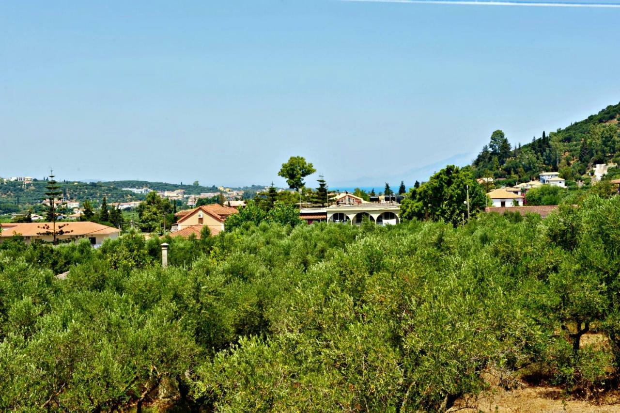 Dimitris Giatras *